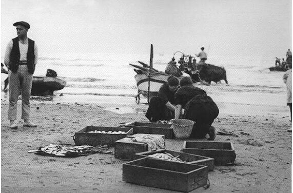 LAS MUJERES DE MAR